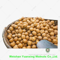 new crop Walnuts Kernels Light Pieces for Sale